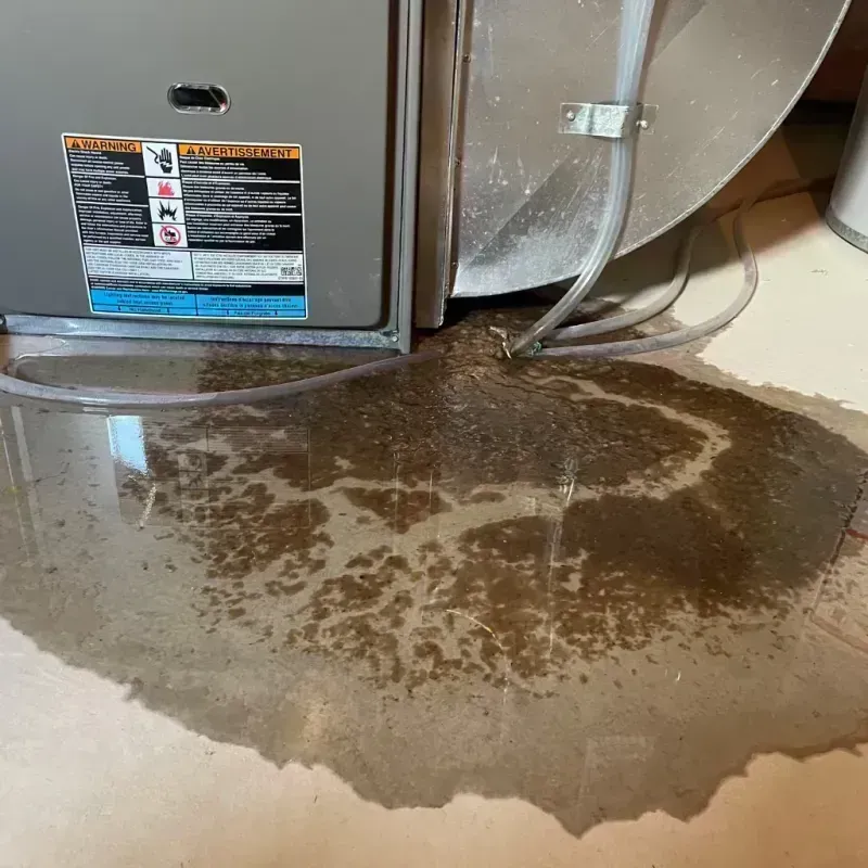 Appliance Leak Cleanup in Clinton, KY